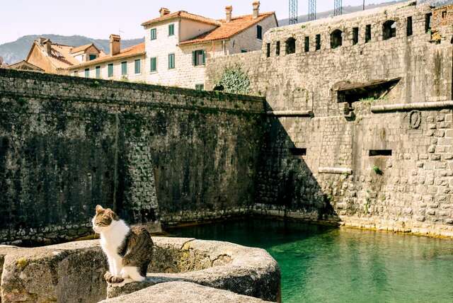 Апартаменты D & Sons Apartments Котор-10